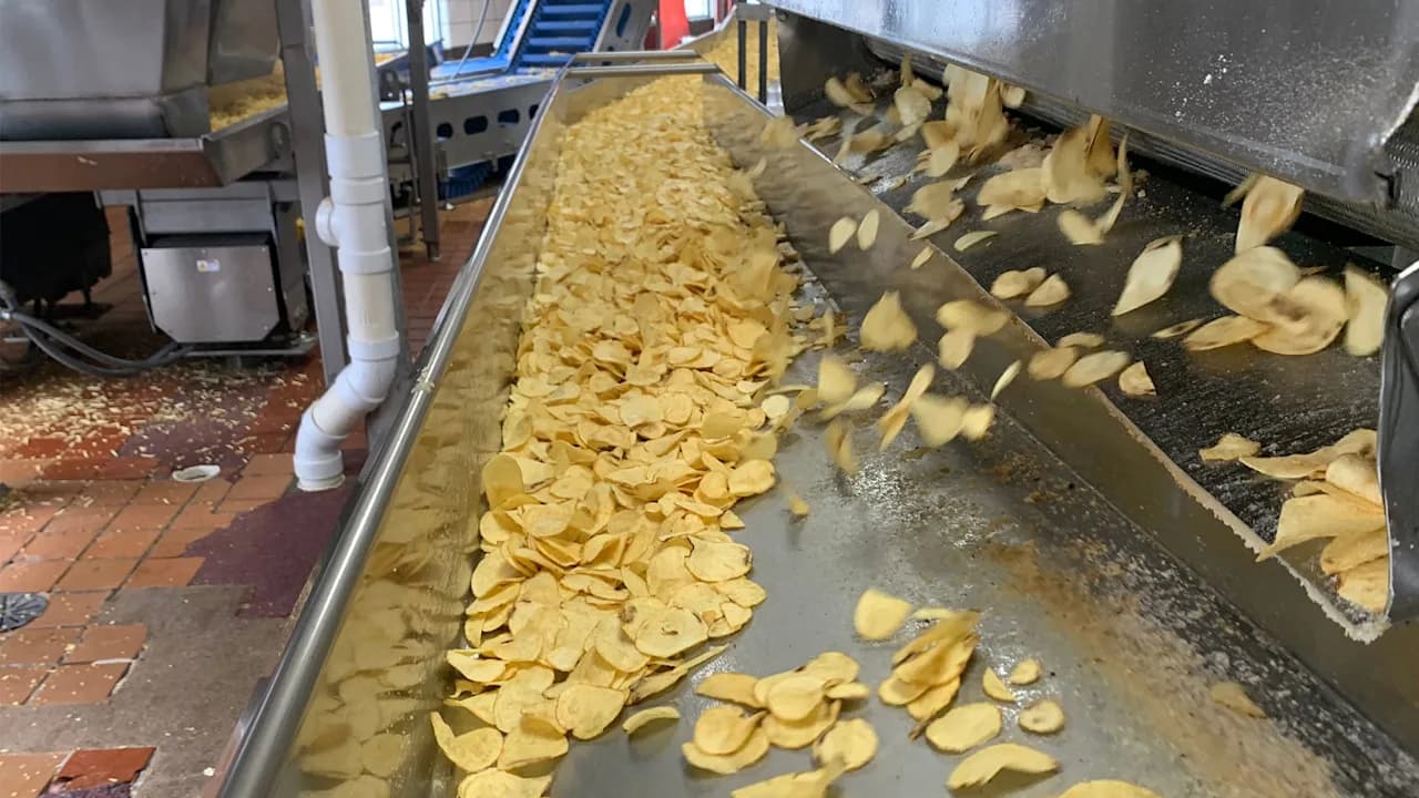 The Science Behind the Snack: How Potato Breeding Shapes U.S. Supply Chains