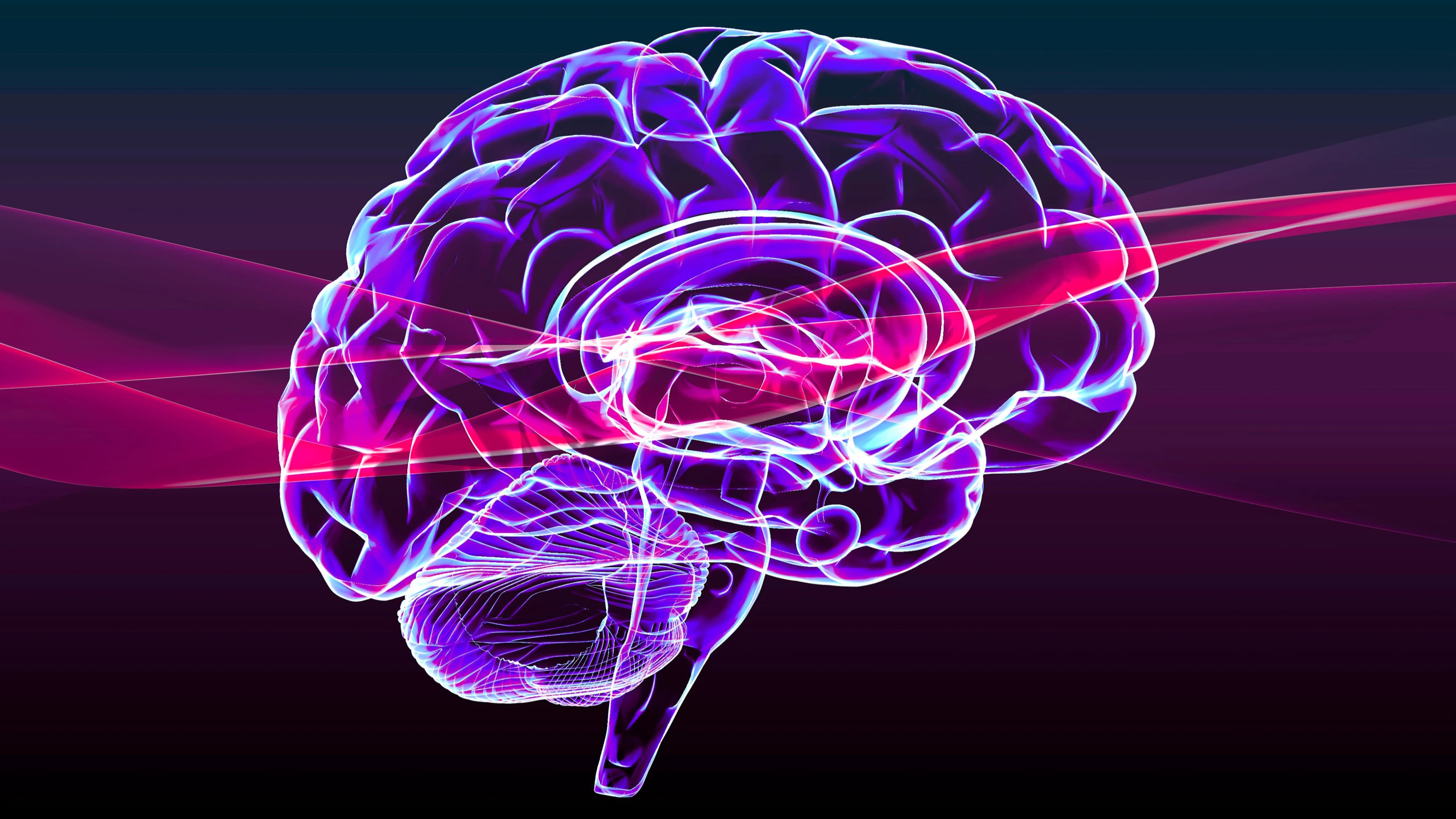 Growth Mindset Training Rewires Your Brain—Here's What Leaders Need to Know