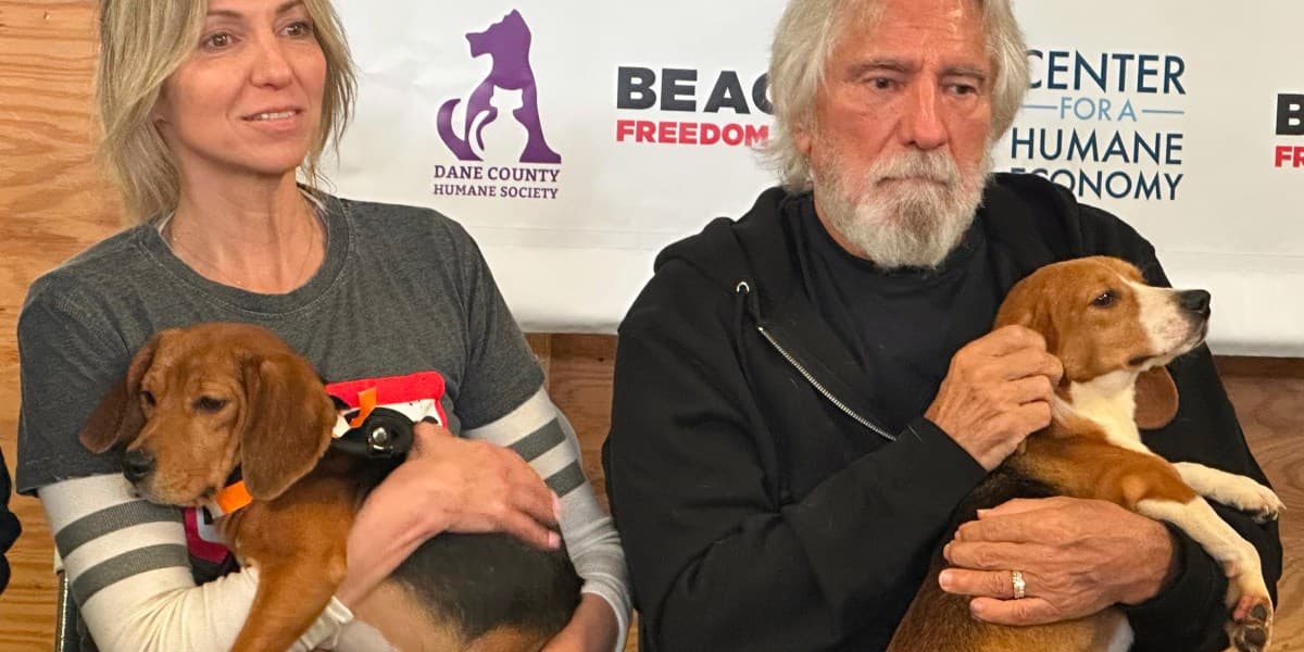 Celebrity Advocates Unite for Lab Beagle Rescue Initiative