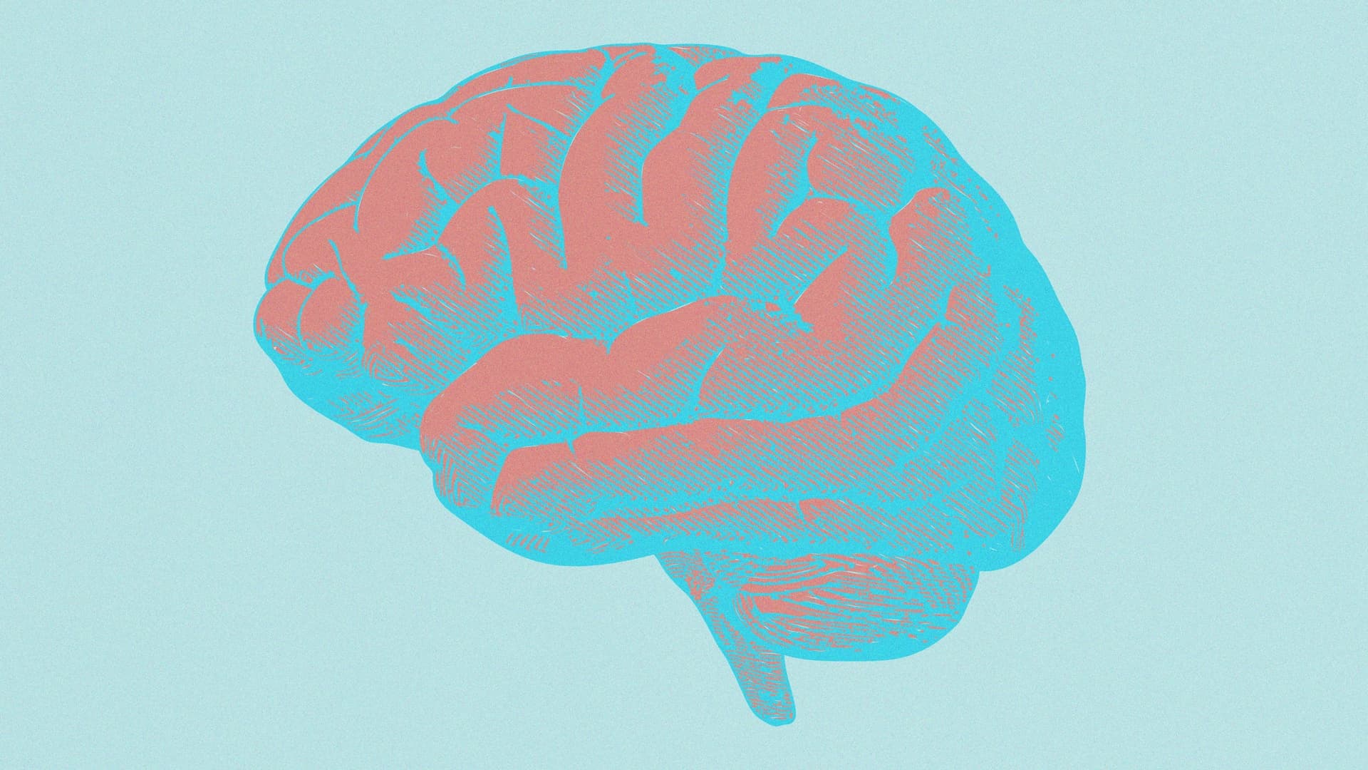 Brain Training on a Budget: 5-Minute Daily Practice Boosts Cognition at Any Age