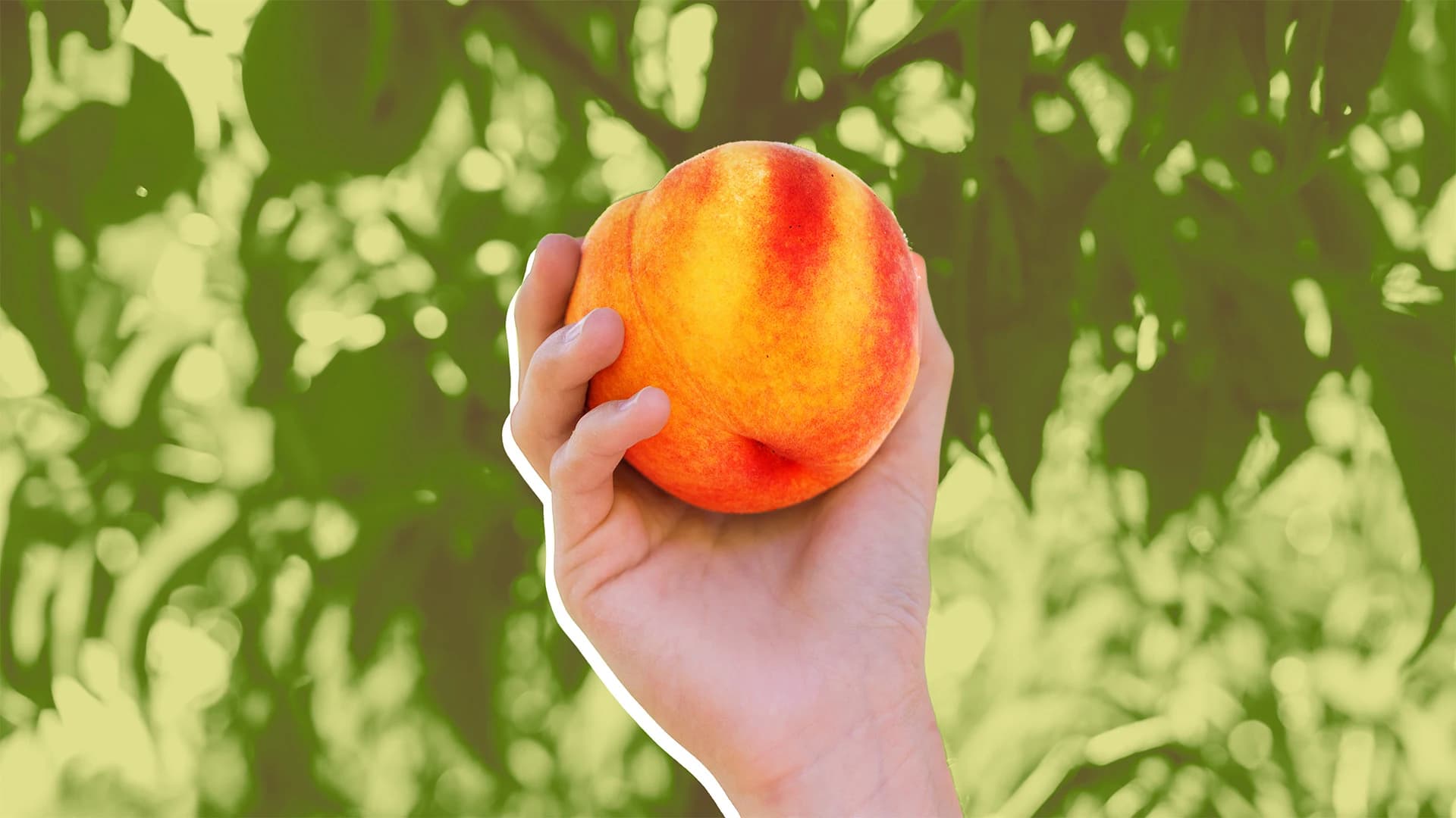 Peach Shortage Looms: Supply Chain Pressures Hit Produce Retailers