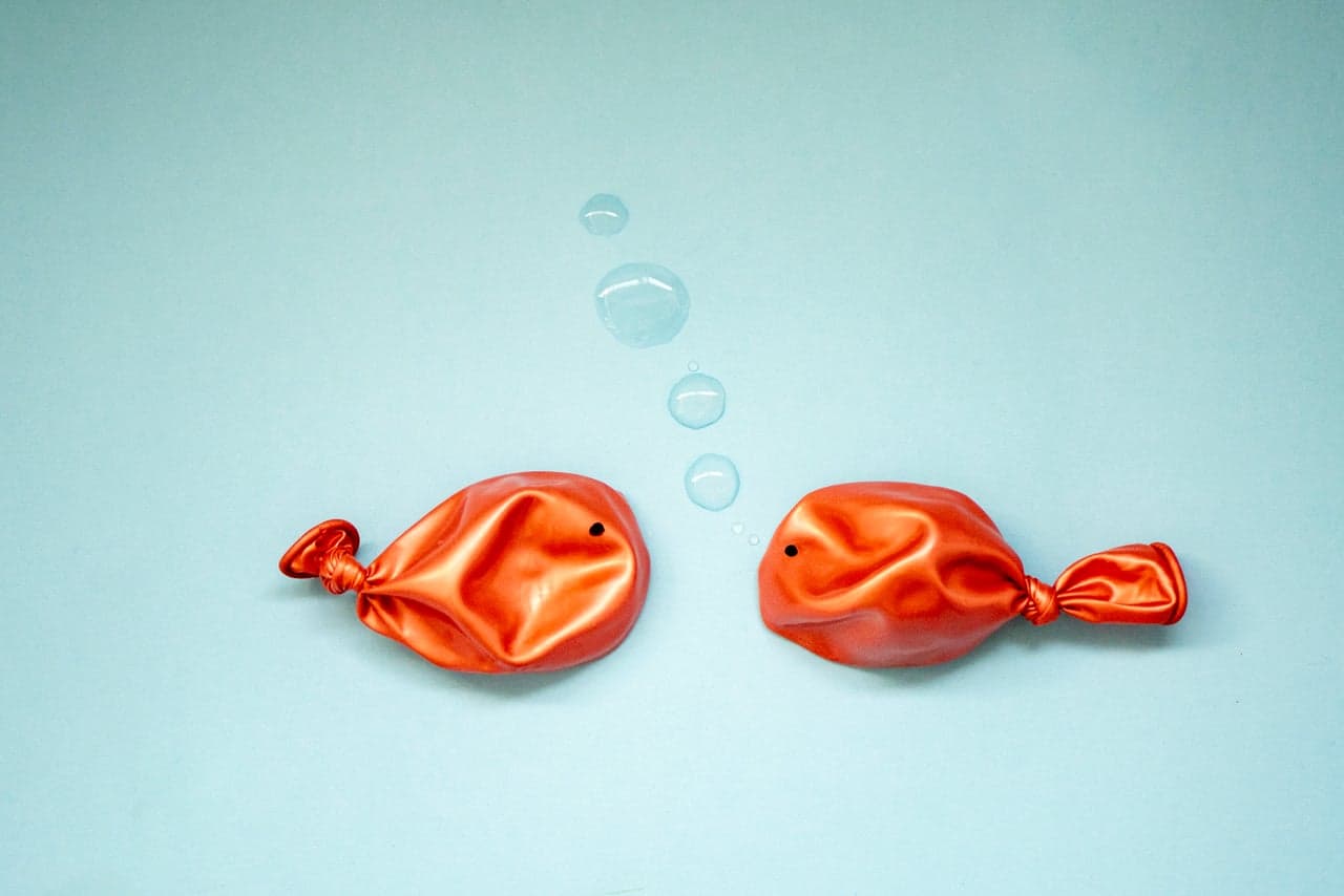 Five Brand-Building Lessons Charlotte Founders Should Know