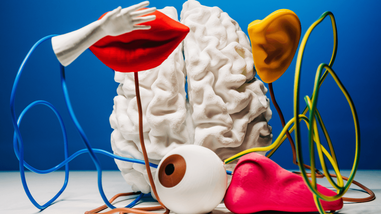 Why Charlotte Brands Should Design for the ADHD Consumer