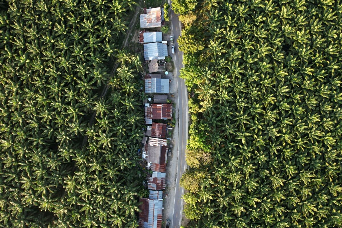 Indonesia's Export Overhaul Could Reshape Global Commodity Markets
