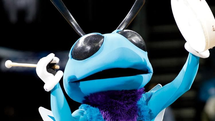Hornets Secure Dual Draft Picks for 2026 NBA Selection