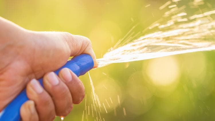 Mountain Water Crisis: What Boone's Drought Restrictions Mean for NC