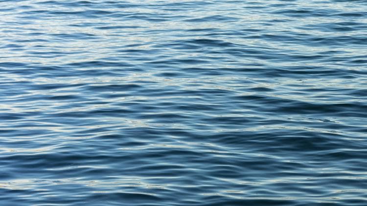 Water Safety Reminder: Life Jackets Save Lives in Piedmont Region