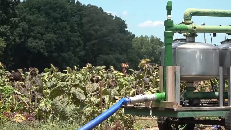 FDA Clears Way for Charlotte-Area Fall Farm Season