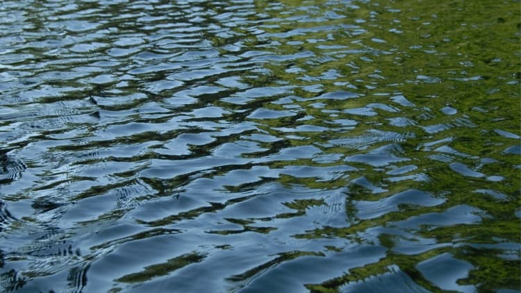 Lake Norman Cove Closed After Wastewater Spill in Lincoln County
