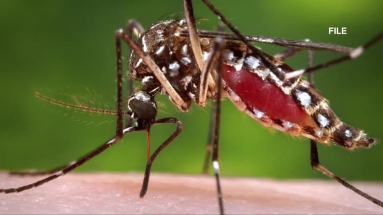 West Nile Virus Confirmed in Gaston County; Charlotte Region on Alert
