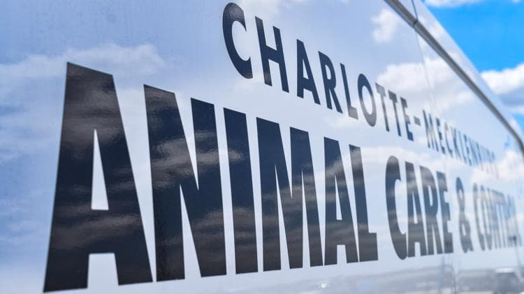 CharMeck Animal Care Seeks Community Support for Large Dog Seizure