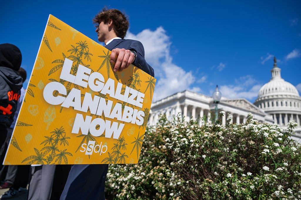 Federal Psychedelics Push May Accelerate Cannabis Reform Momentum