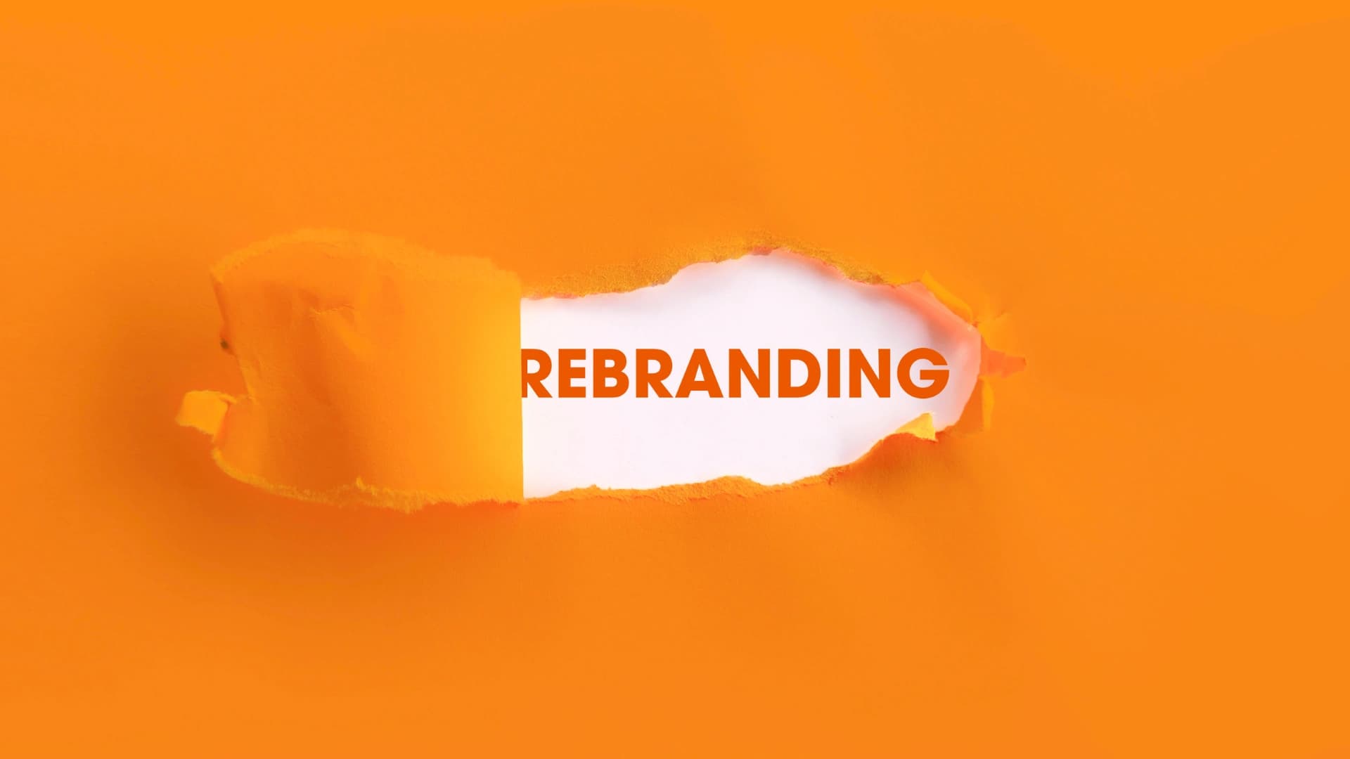 A Fresh Logo Won't Save You: Why Charlotte Companies Need to Modernize the Full Experience
