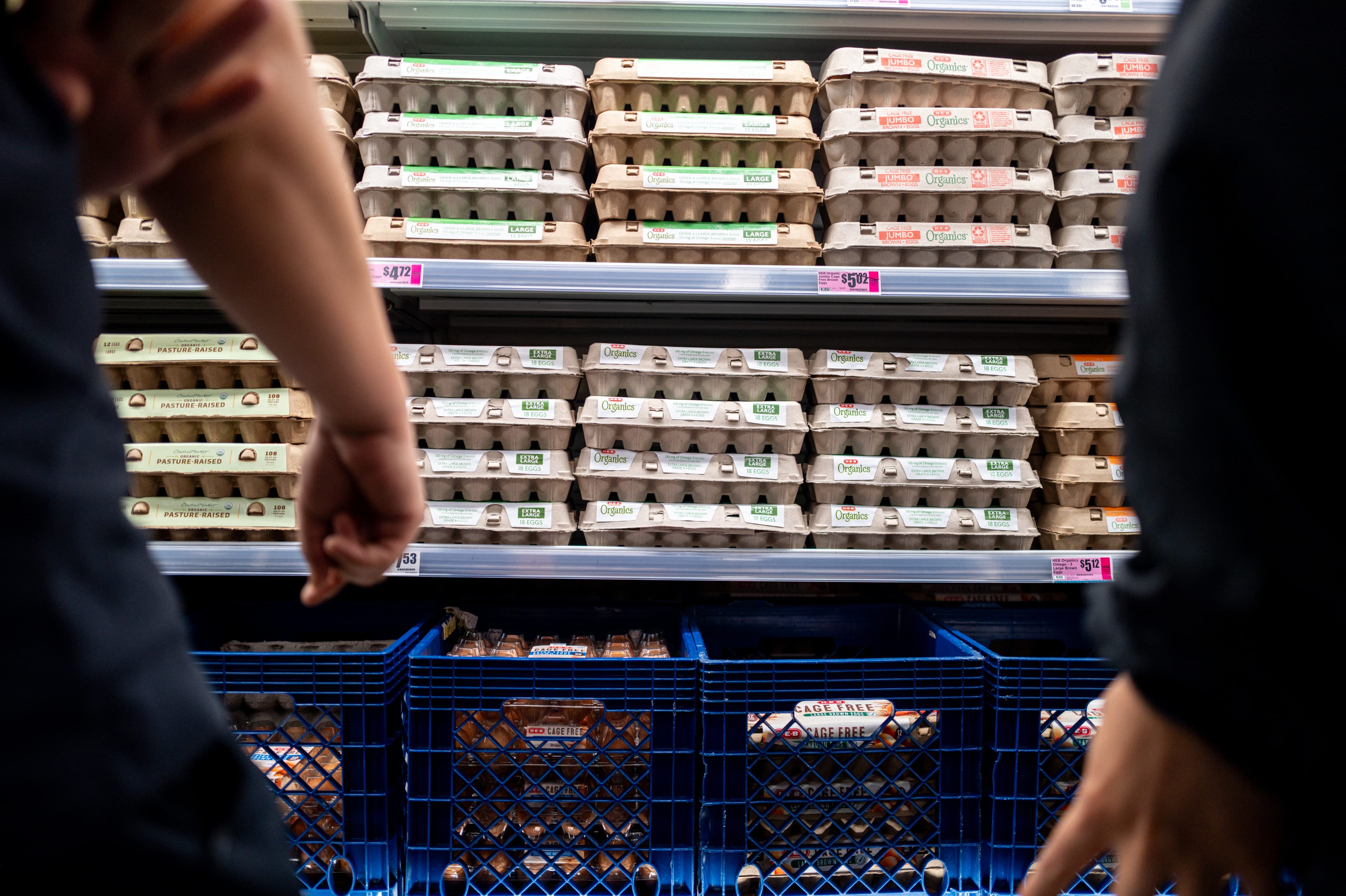 Egg Market Faces Margin Squeeze as Prices Fall and Costs Rise