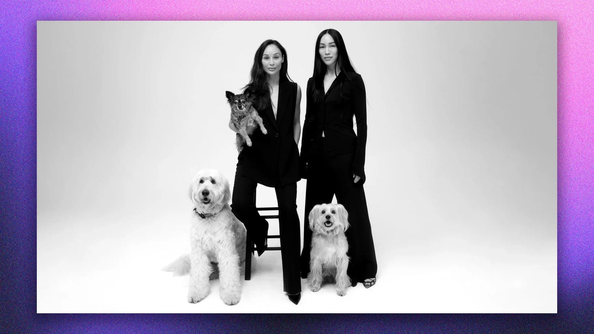 Clean Beauty Founders Launch Pet Care Line