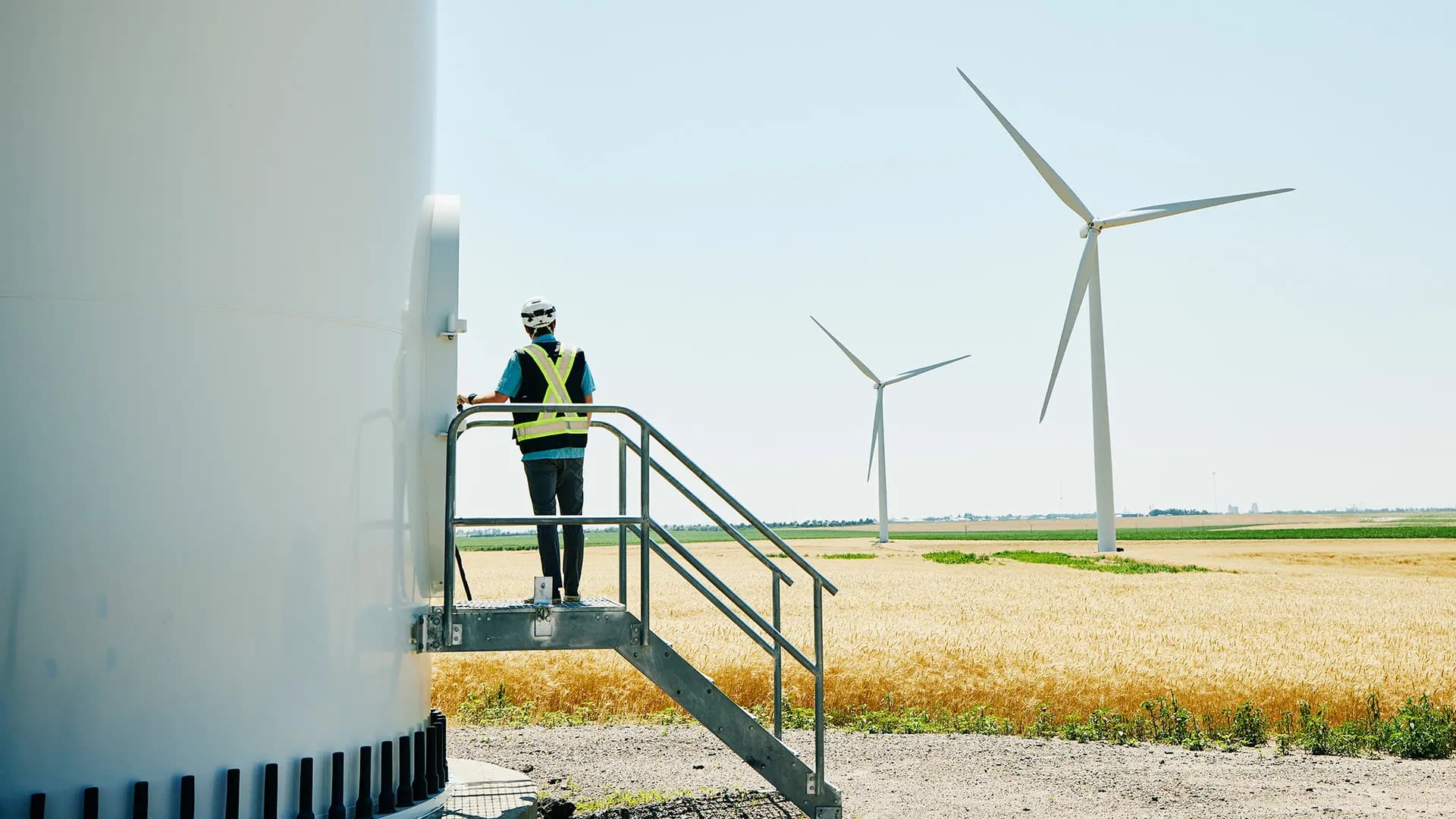 Green Jobs Are Growing Faster Than Workers Can Fill Them