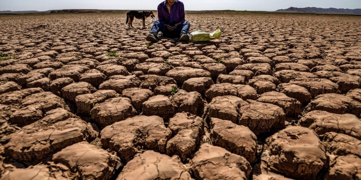 Super El Niño Could Drive Record Heat in 2027, Impacting Charlotte Business