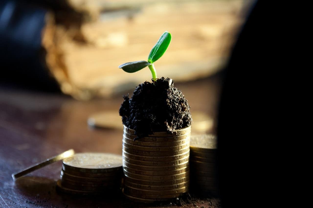 Dividend Stocks Worth Watching: A Guide for Charlotte Investors