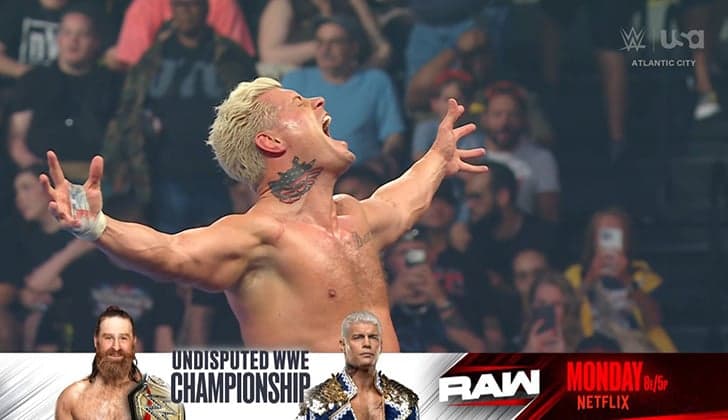 Sports Entertainment as Corporate Brand Strategy: Lessons for Charlotte