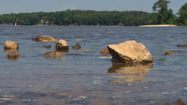 Lake Wylie Beach Closure Raises Water Quality Questions