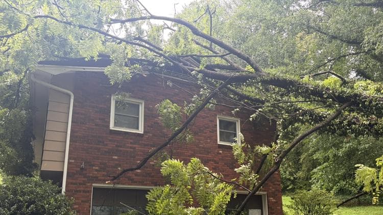Catawba County Storm Damage: What Property Owners Should Know