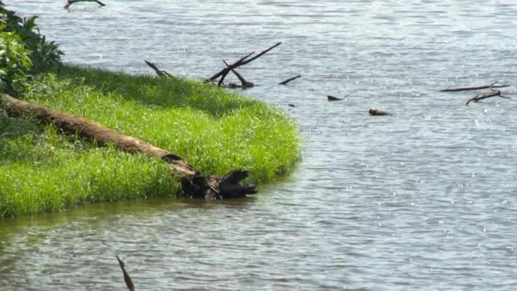 Monroe's Drought Persists: What Regional Water Scarcity Means for Growth