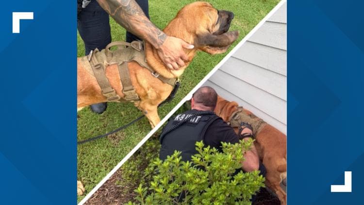Belmont Police K-9 Unit Praised for Missing Child Recovery