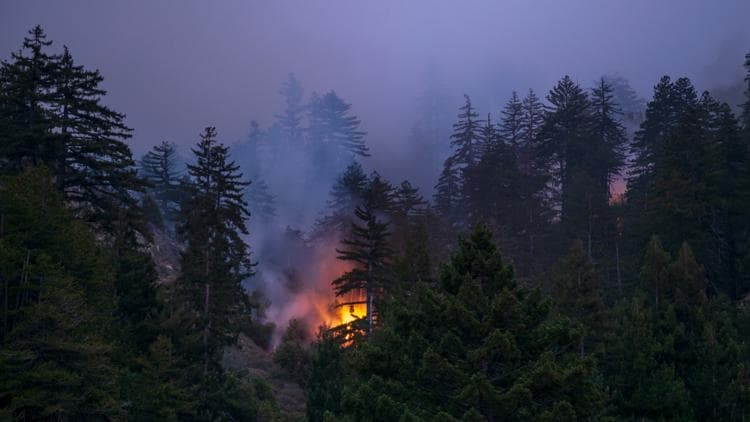 Senators Push to Block Wildfire Betting Markets
